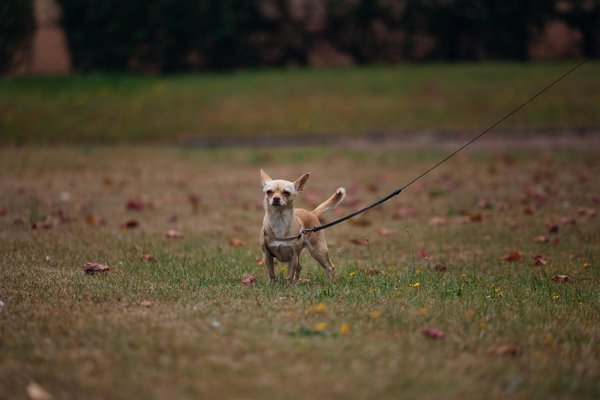 Innovación en salud: hacia un crecimiento sostenible y futuro brillante