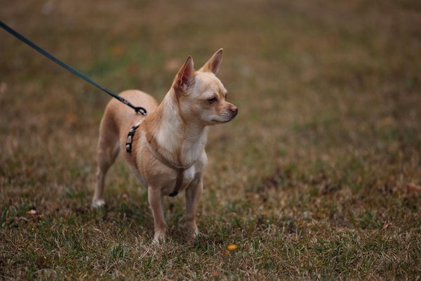 Estrategias efectivas para lograr un balance entre trabajo y vida personal