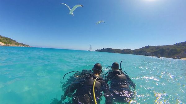 Top lugares para bucear: las mejores experiencias para explorar